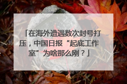 在海外遭遇数次封号打压，中国日报“起底工作室”为啥那么刚？