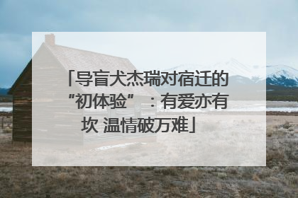 导盲犬杰瑞对宿迁的“初体验”：有爱亦有坎 温情破万难