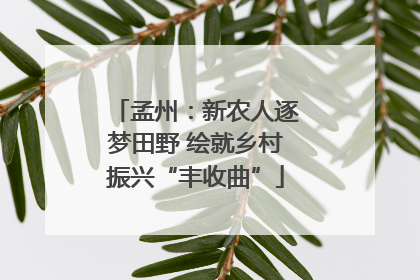 孟州：新农人逐梦田野 绘就乡村振兴“丰收曲”