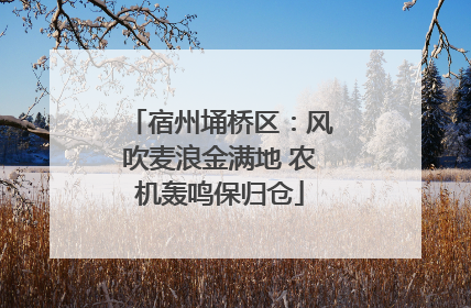 宿州埇桥区：风吹麦浪金满地 农机轰鸣保归仓