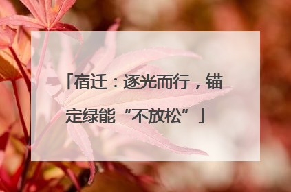 宿迁：逐光而行，锚定绿能“不放松”