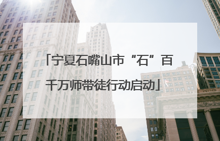 宁夏石嘴山市“石”百千万师带徒行动启动