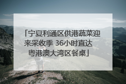 宁夏利通区供港蔬菜迎来采收季 36小时直达粤港澳大湾区餐桌