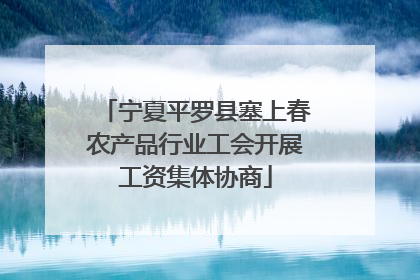 宁夏平罗县塞上春农产品行业工会开展工资集体协商