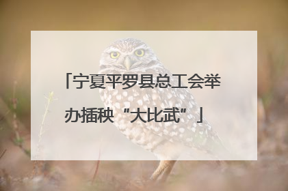 宁夏平罗县总工会举办插秧“大比武”