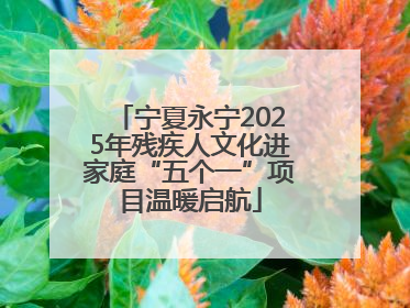 宁夏永宁2025年残疾人文化进家庭“五个一”项目温暖启航