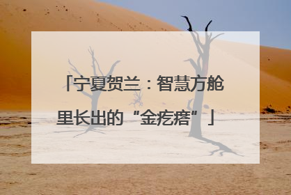 宁夏贺兰：智慧方舱里长出的“金疙瘩”