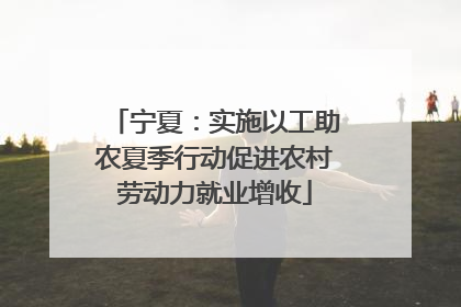 宁夏：实施以工助农夏季行动促进农村劳动力就业增收