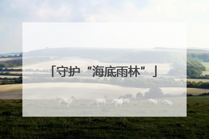 守护“海底雨林”