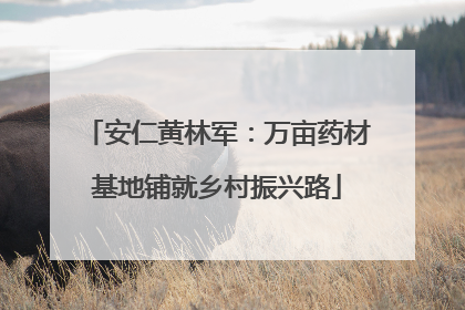安仁黄林军：万亩药材基地铺就乡村振兴路