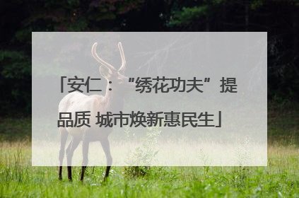 安仁：“绣花功夫”提品质 城市焕新惠民生