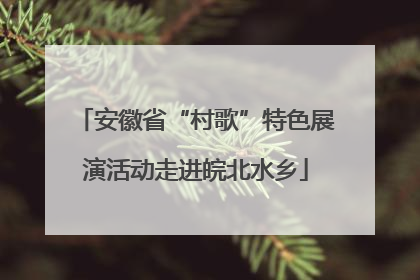 安徽省“村歌”特色展演活动走进皖北水乡