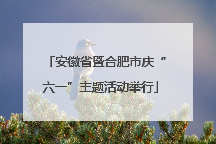 安徽省暨合肥市庆“六一”主题活动举行
