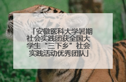 安徽医科大学暑期社会实践团获全国大学生“三下乡”社会实践活动优秀团队