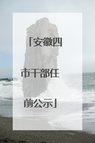 安徽四市干部任前公示