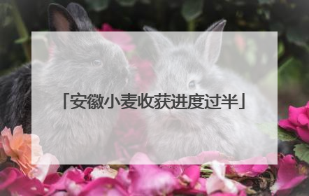 安徽小麦收获进度过半