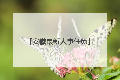 安徽最新人事任免