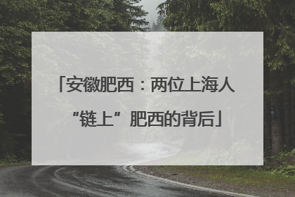 安徽肥西：两位上海人“链上”肥西的背后