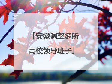 安徽调整多所高校领导班子