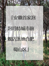 安徽首家泡泡玛特城市旗舰店落地合肥蜀山区