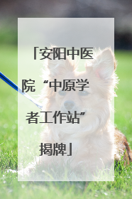 安阳中医院“中原学者工作站”揭牌