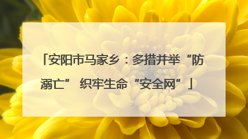 安阳市马家乡：多措并举“防溺亡” 织牢生命“安全网”