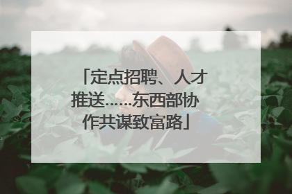 定点招聘、人才推送……东西部协作共谋致富路