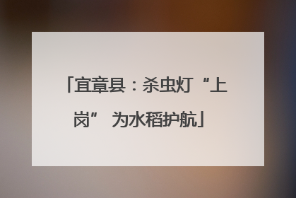 宜章县：杀虫灯“上岗” 为水稻护航