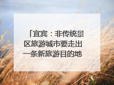 宜宾：非传统景区旅游城市要走出一条新旅游目的地新路子｜话锦绣·说安逸