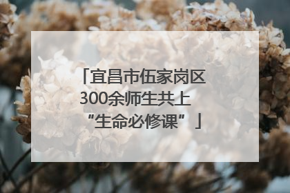 宜昌市伍家岗区300余师生共上“生命必修课”