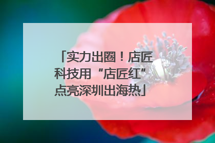 实力出圈！店匠科技用“店匠红”点亮深圳出海热