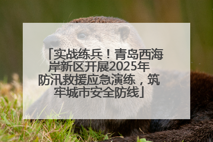 实战练兵！青岛西海岸新区开展2025年防汛救援应急演练，筑牢城市安全防线