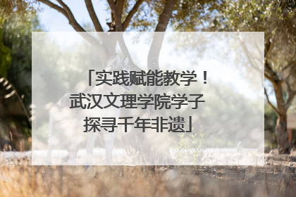 实践赋能教学！武汉文理学院学子探寻千年非遗