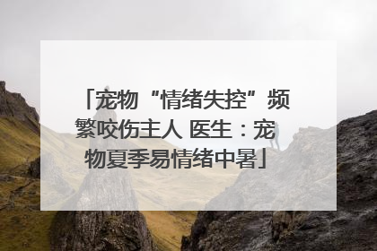 宠物“情绪失控”频繁咬伤主人 医生：宠物夏季易情绪中暑