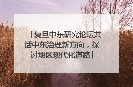 复旦中东研究论坛共话中东治理新方向，探讨地区现代化道路