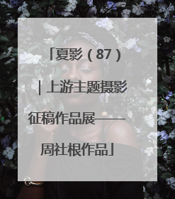 夏影（87）｜上游主题摄影征稿作品展——周社根作品