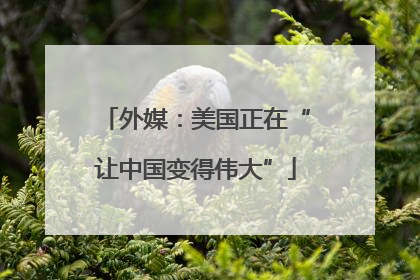 外媒：美国正在“让中国变得伟大”
