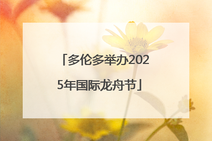 多伦多举办2025年国际龙舟节