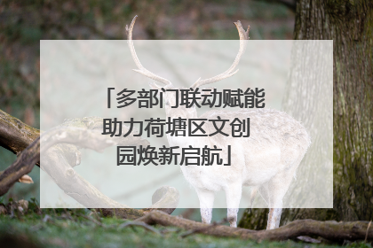 多部门联动赋能 助力荷塘区文创园焕新启航