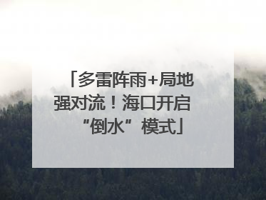 多雷阵雨+局地强对流！海口开启“倒水”模式