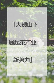 大别山下崛起茶产业新势力