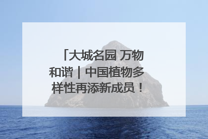 大城名园 万物和谐｜中国植物多样性再添新成员！它只在西藏墨脱