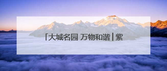 大城名园 万物和谐│紫色“高冷”新物种横空出世，皱褶叶片暗藏进化密码