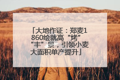 大地作证：郑麦1860绘就高“烤”“丰”景，引领小麦大面积单产提升