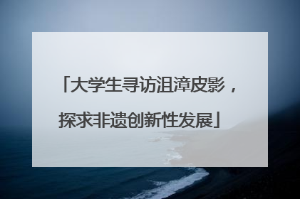 大学生寻访沮漳皮影，探求非遗创新性发展