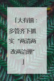 大有镇：多管齐下抓实“两清两改两治理”