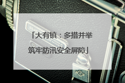 大有镇：多措并举筑牢防汛安全屏障