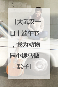 大武汉一日丨端午节，我为动物园小矮马做粽子