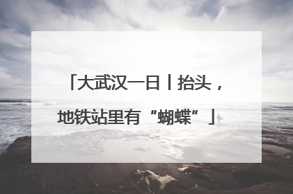 大武汉一日丨抬头，地铁站里有“蝴蝶”