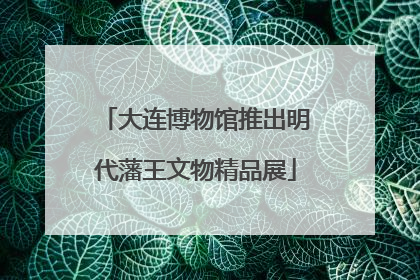 大连博物馆推出明代藩王文物精品展